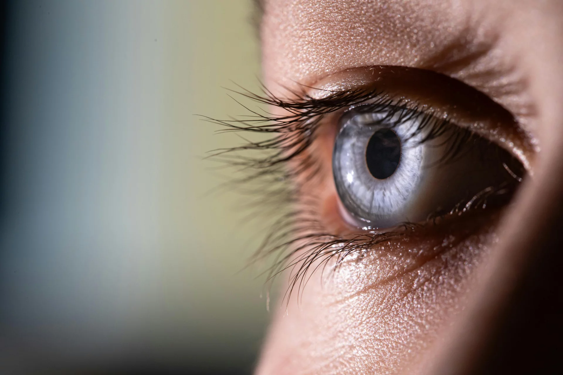 Working at the computer and vision protection