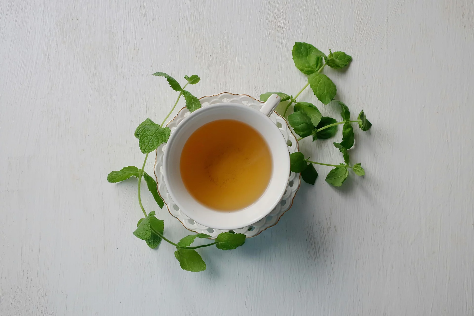 Fresh botanical extracts in pure water