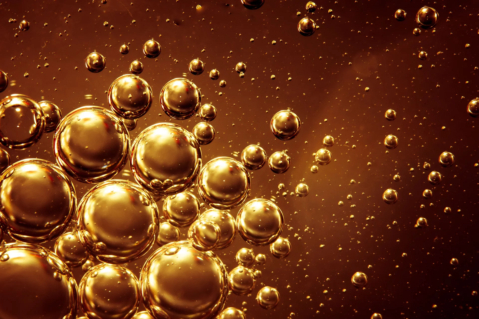 Squalene and Alkylglycerols for Deep Immune Support and Cellular Protection