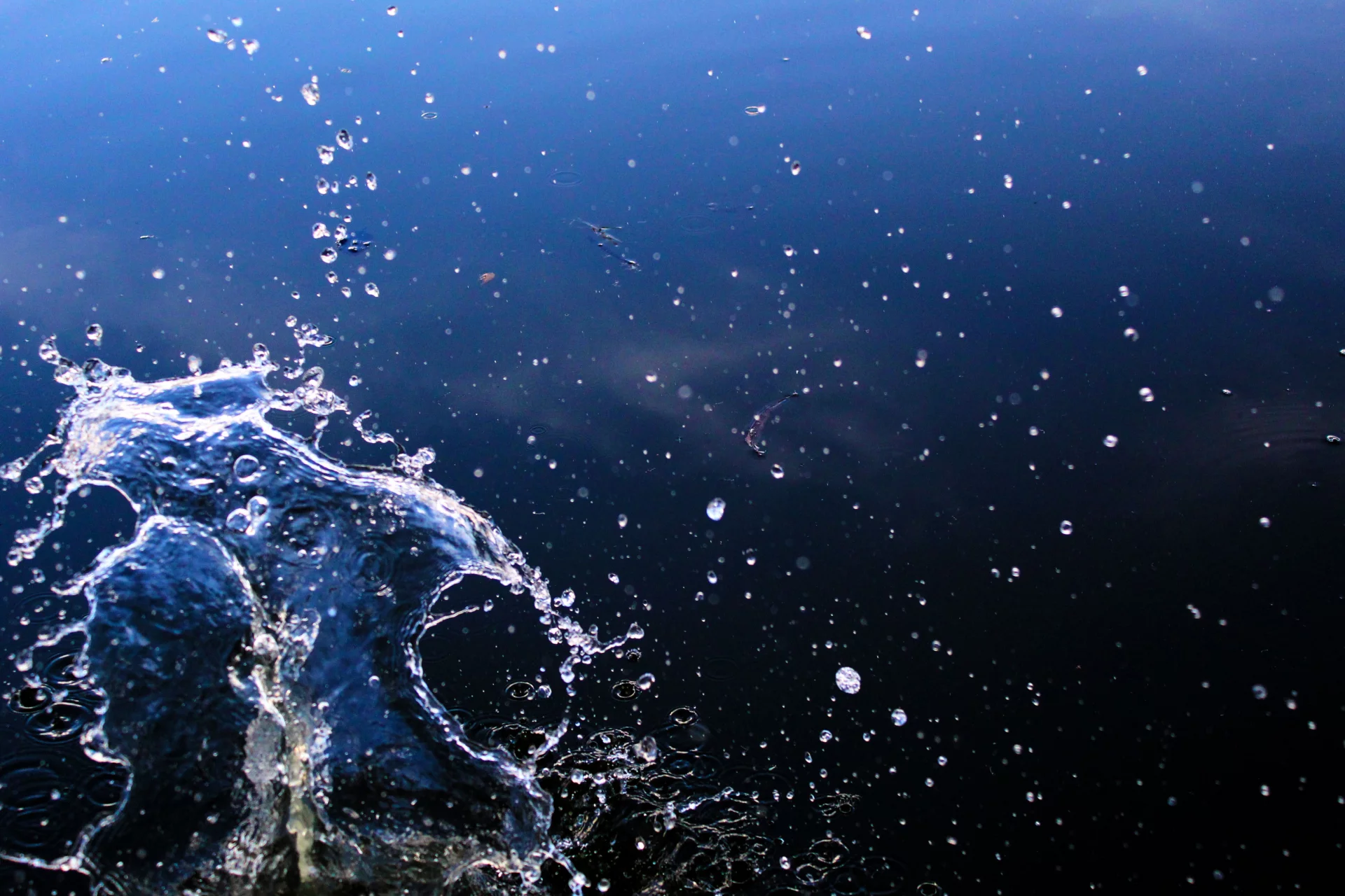 Deep Cellular Hydration and Mineral Support for the Nervous System