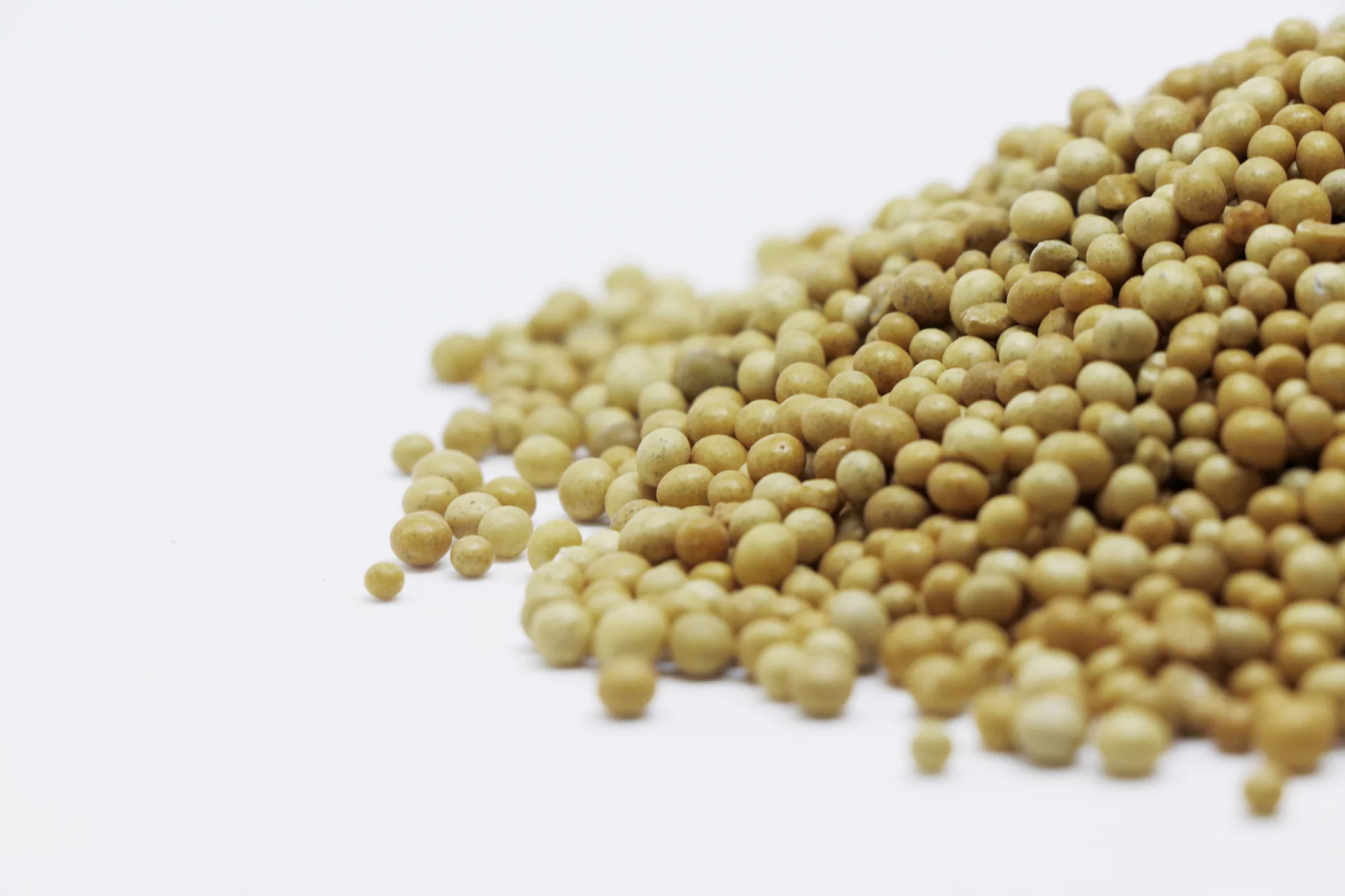 Soy Lecithin